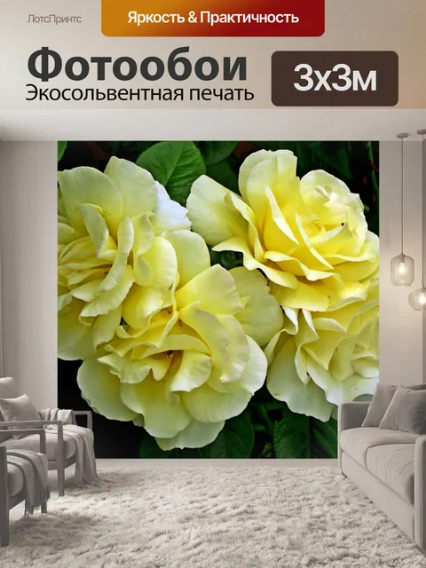 Фотообои Розы