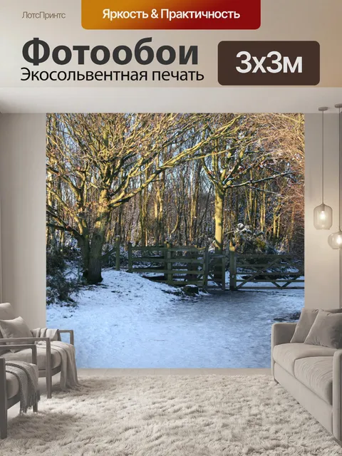 Фотообои Снег и свет