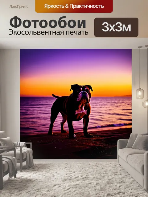 Фотообои бульдог, стоящий на фоне живописного моря во время заката
