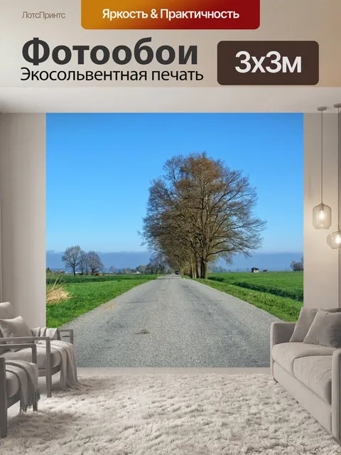 Фотообои Дорога