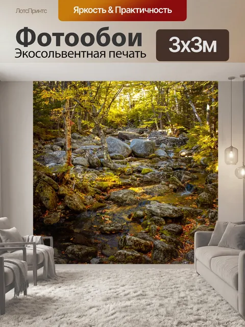 Фотообои ручей осенью