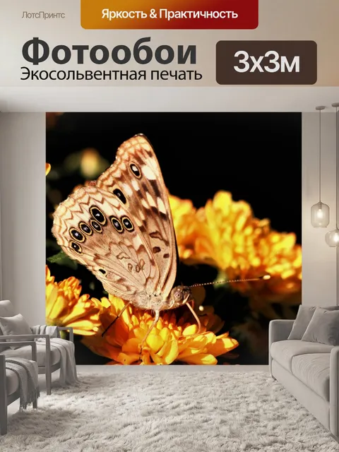 Фотообои Хэкберри Императорская бабочка