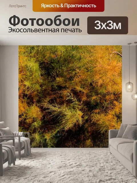 Фотообои Дерево