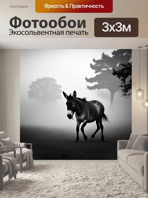 Фотообои ишак, идущий по утреннему туману, где его силуэт едва различим среди деревьев