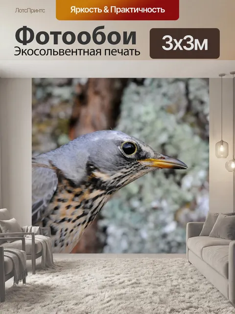 Фотообои Птица