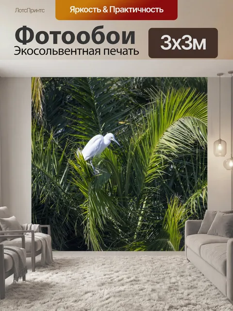 Фотообои Снежная цапля