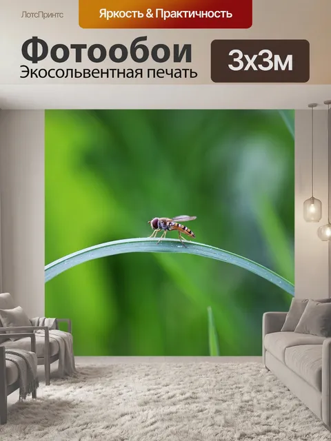 Фотообои Летать