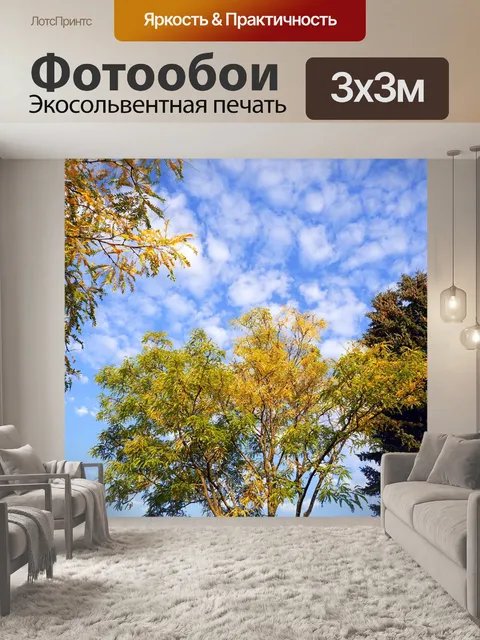 Фотообои Деревья
