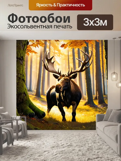 Фотообои волшебный лес в осенний период