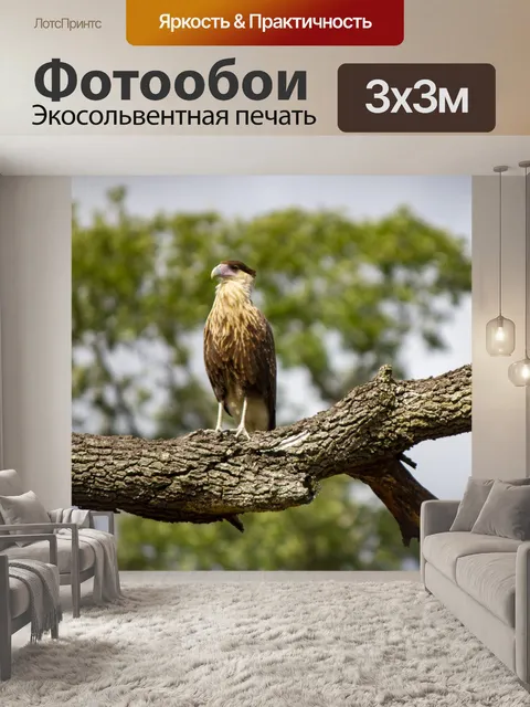 Фотообои Хохлатая Кара Кара