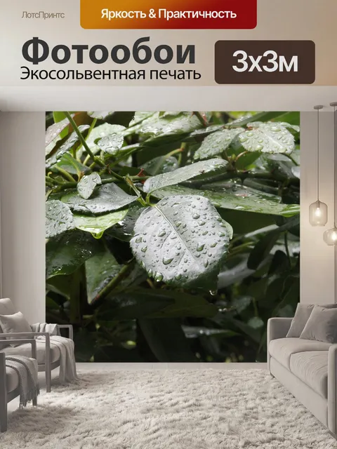 Фотообои Листья