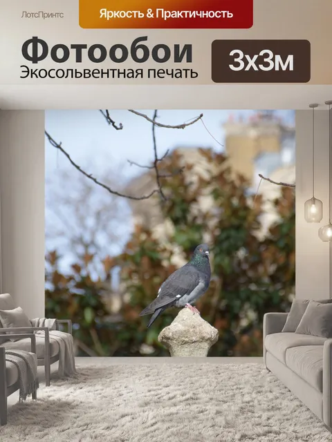 Фотообои Париж
