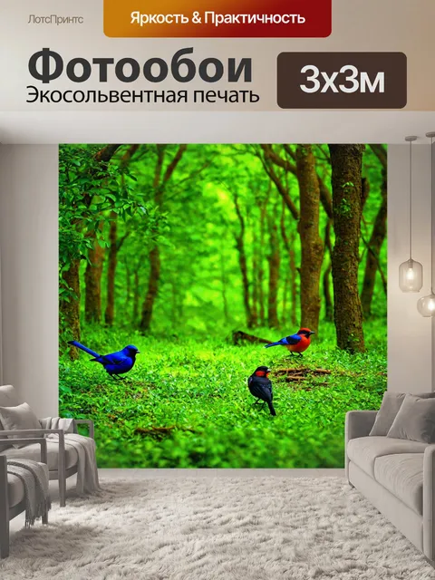 Фотообои с ярким зеленым лесом и птицами