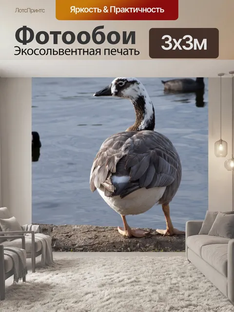 Фотообои Гусь