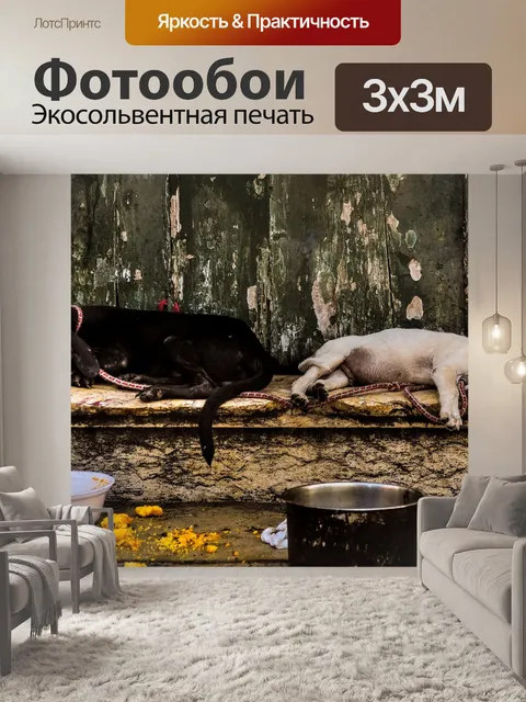 Фотообои Собаки