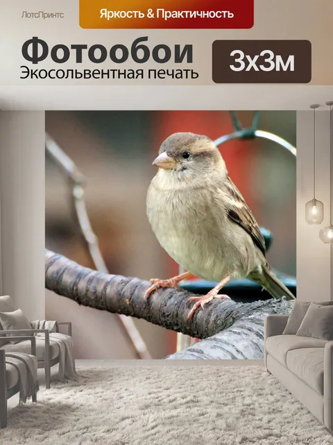 Фотообои Птица