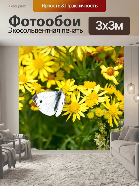 Фотообои Бабочка
