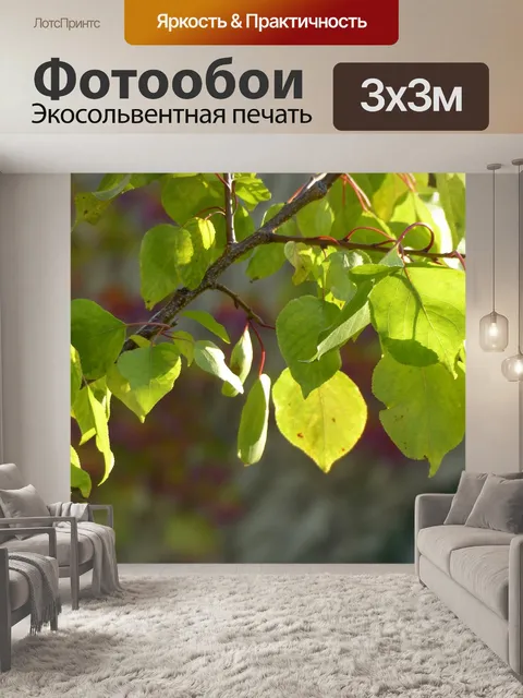 Фотообои Абрикос
