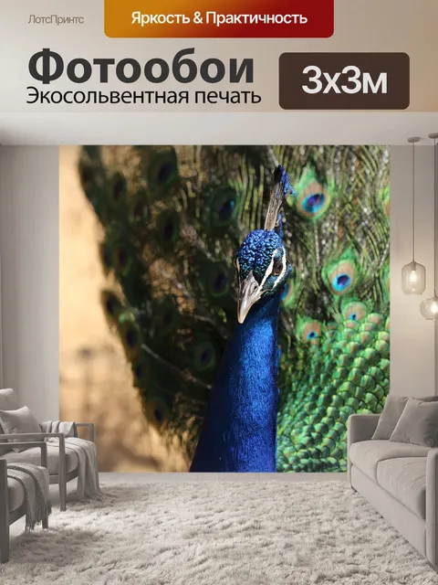 Фотообои Птица