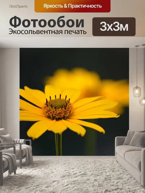 Фотообои Цветы