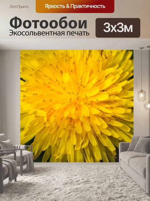 Фотообои Одуванчик