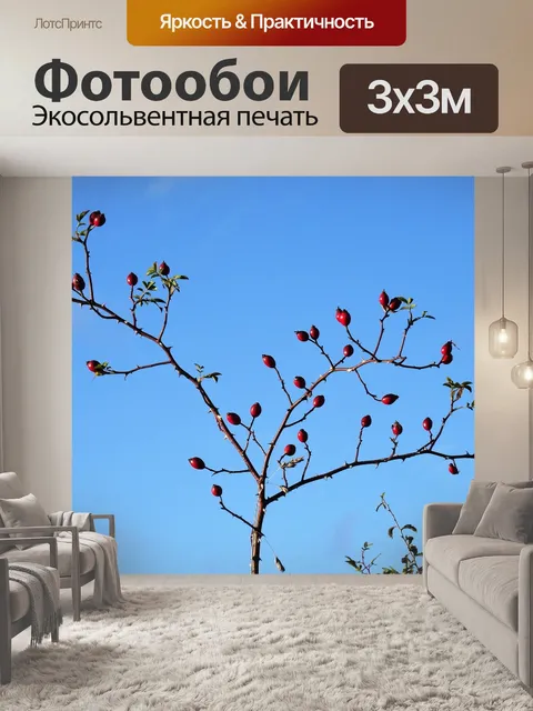 Фотообои Шиповник