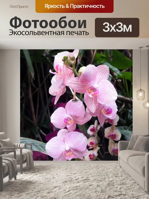 Фотообои Орхидеи