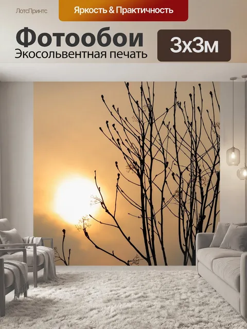 Фотообои Солнце