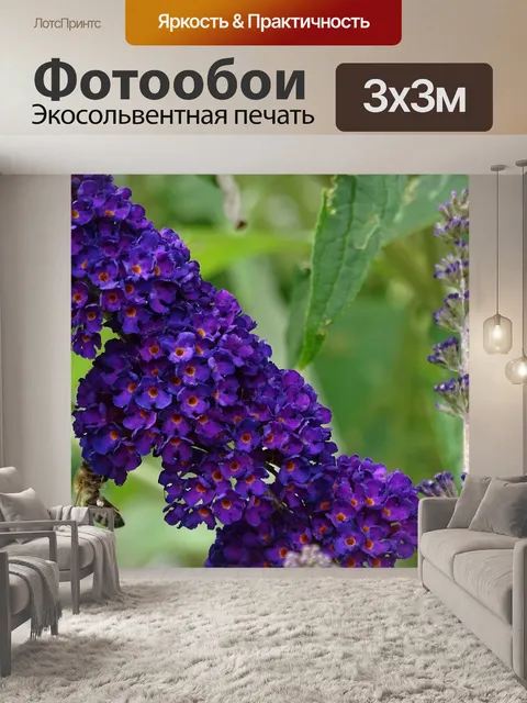 Фотообои Пчела