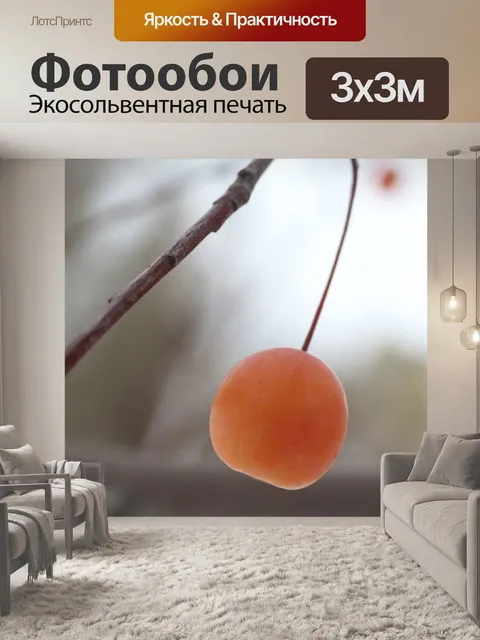 Фотообои Зима