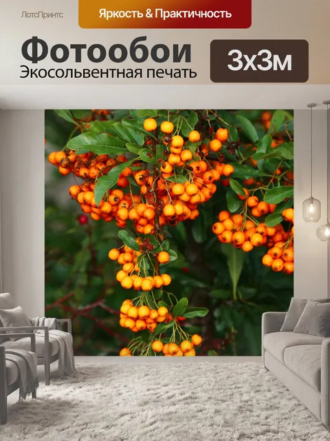 Фотообои Природа