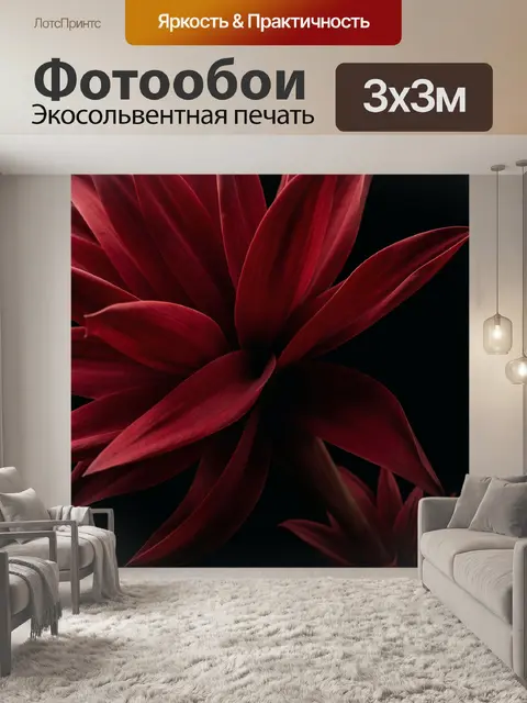 Фотообои Темно-красный цветок крупным планом