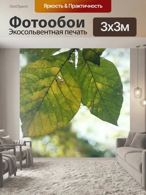 Фотообои Лист