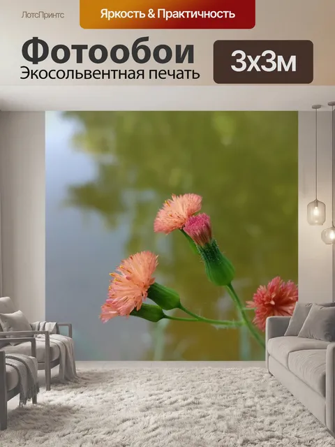Фотообои Цветы