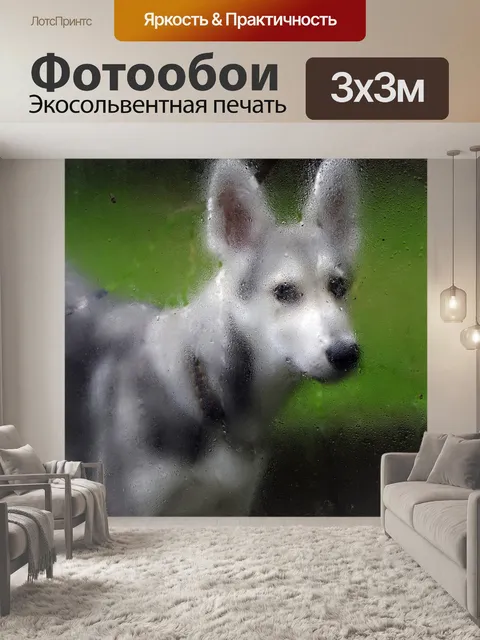 Фотообои Дождь