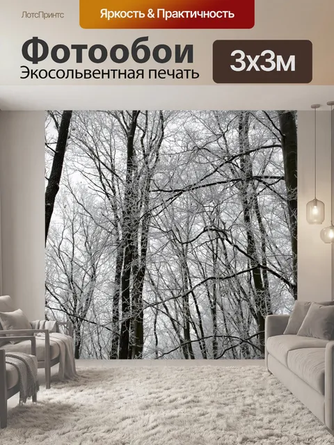 Фотообои Зимние деревья