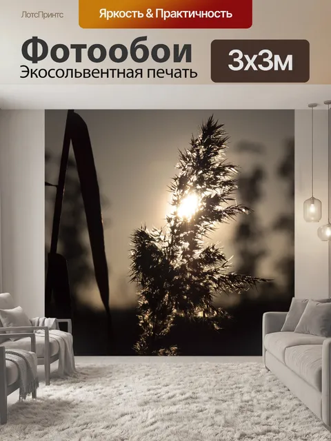 Фотообои Природа