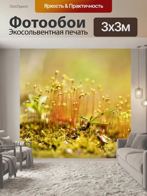 Фотообои Мох