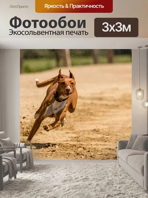 Фотообои Собака