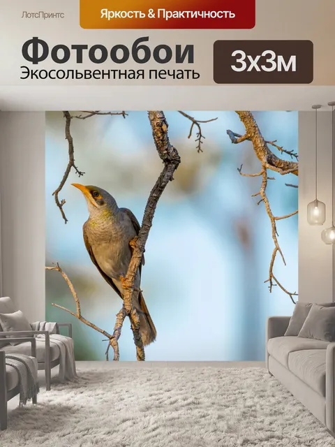 Фотообои Птицы