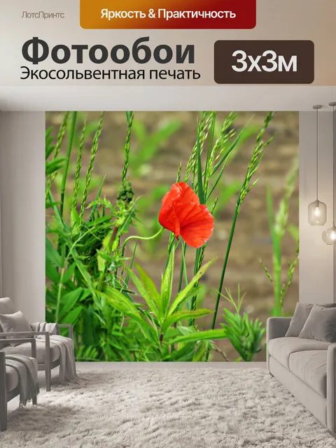 Фотообои Мак