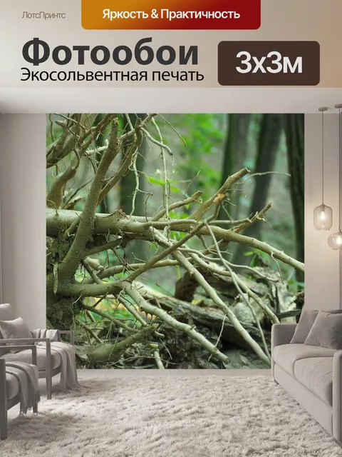 Фотообои Ствол дерева