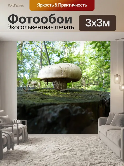 Фотообои Гриб