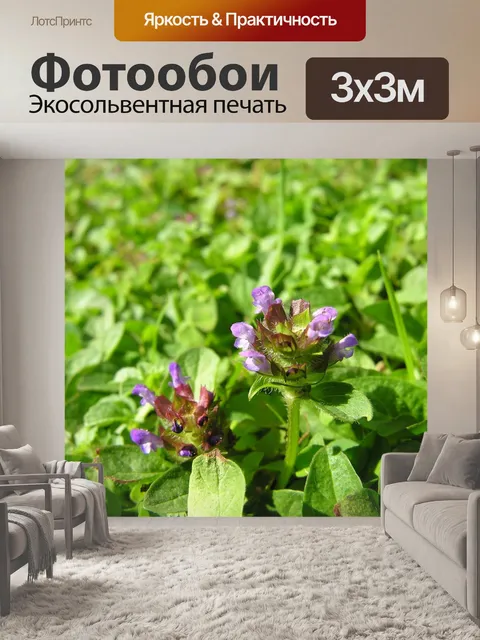 Фотообои Цветы