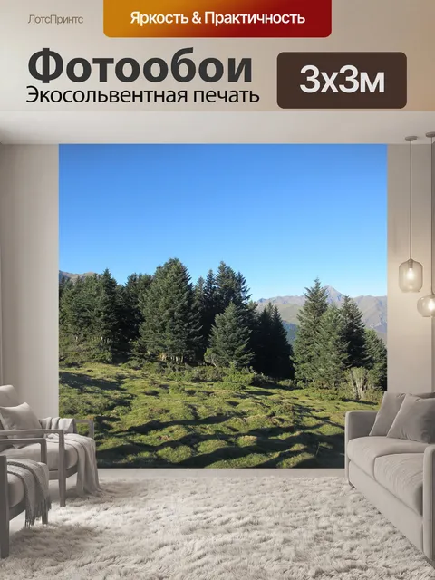 Фотообои Деревья