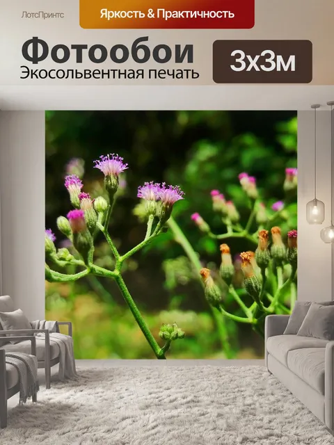 Фотообои Цветы