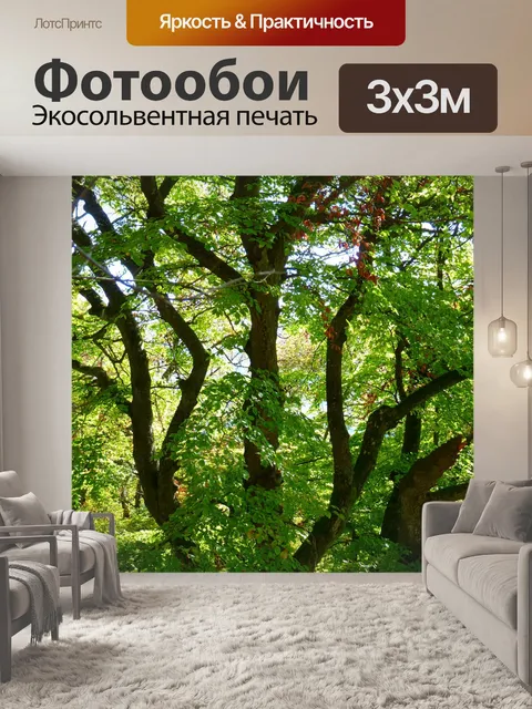 Фотообои Дерево