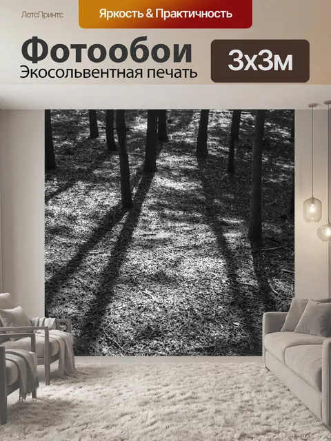 Фотообои лес
