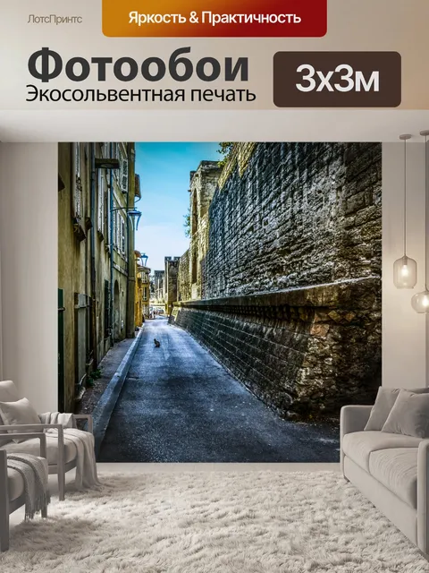 Фотообои Кошка в переулке