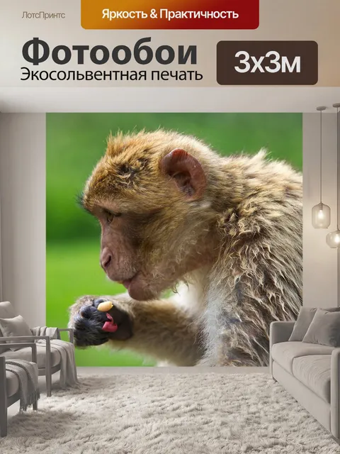 Фотообои Природа